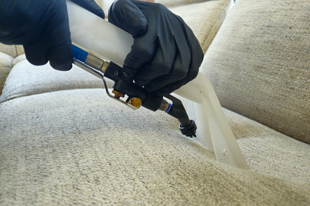 Czyste powietrze w domu