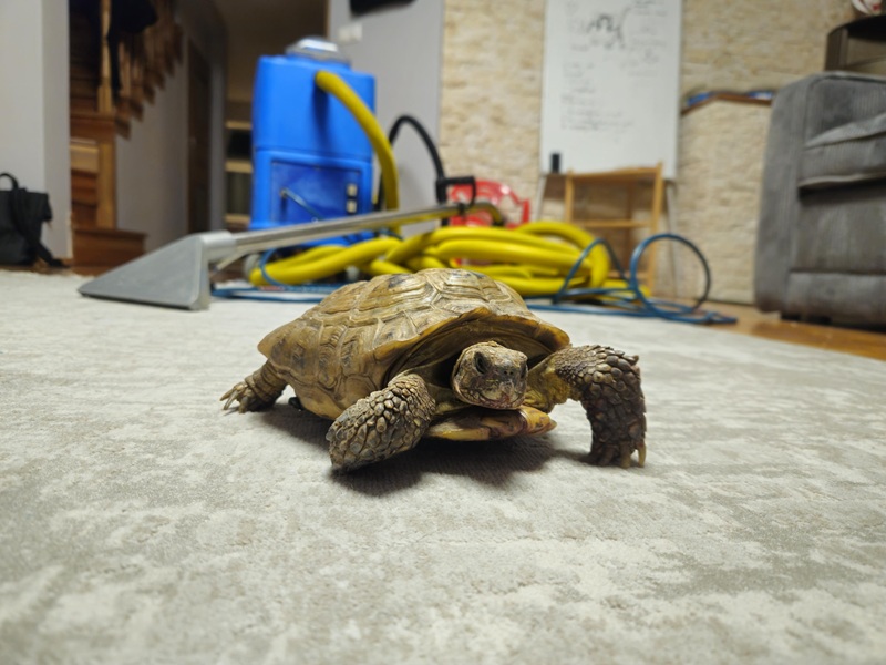 Profesjonalny sprzęt Santoemma i Ashbys